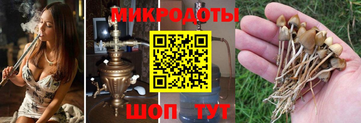 Псилоцибиновые грибы GOLDEN TEACHER  Вход с VPN  Озёрск 